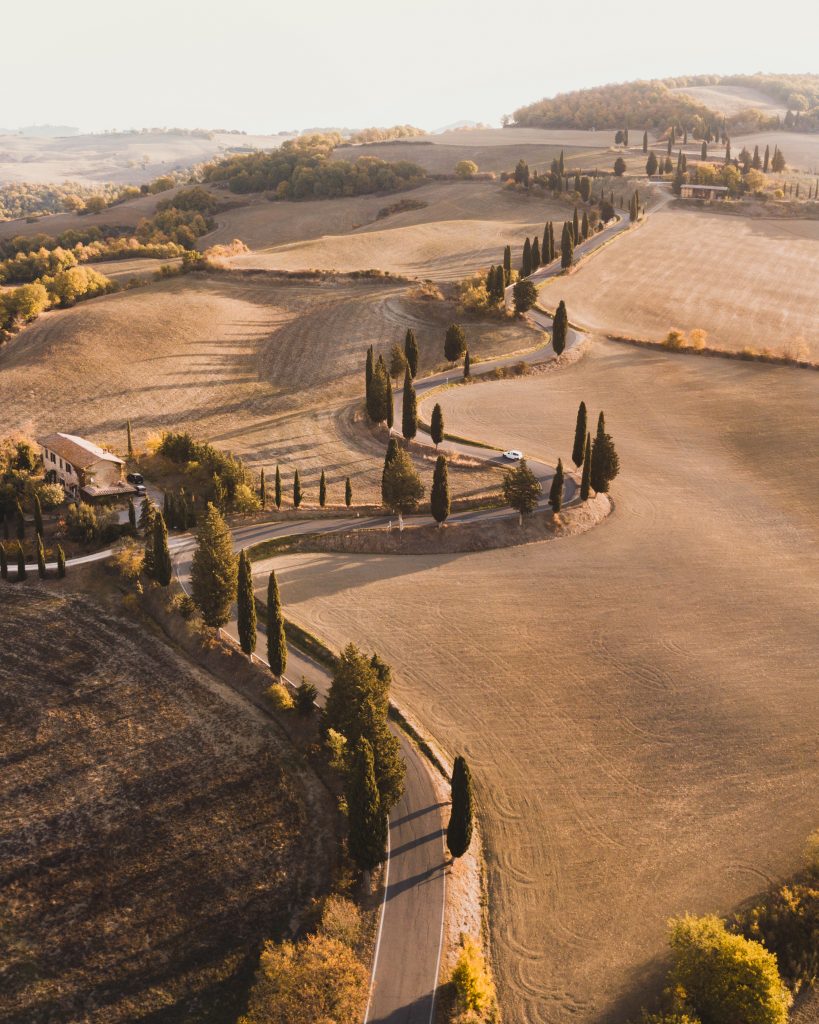 Cypress Road in tuscany